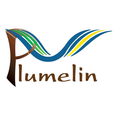 Commune de Plumelin